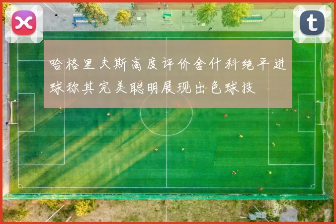 哈格里夫斯高度评价舍什科绝平进球称其完美聪明展现出色球技