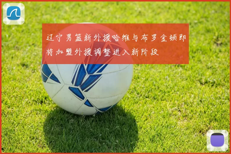 辽宁男篮新外援哈维与布罗金顿即将加盟外援调整进入新阶段